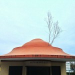 Un árbol sobre el tejado
