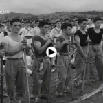 Concurso de siega en la granja de Heras un 19 de agosto de 1957
