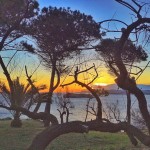 La isla de Mouro entre la arboleda al amanecer