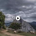 El Habario de Pendes. Liébana