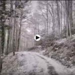 El bosque se pinta de blanco lentamente en el sur de Cantabria