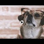 Vito and Willy ® – Conscious eyewear and organic cotton clothing made in Santander
