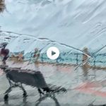 Lluvia tras los cristales