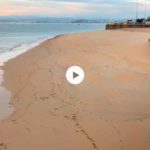 Arena que campa a sus anchas y crea nuevas playas en la bahía de Santander
