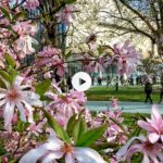 La primavera ya se siente en Santander