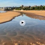Un Sardinero que…