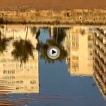 Va de reflejos