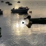 Amanecer entre botes de pesca
