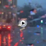 Mira qué día amanece hoy en Santander. En el vídeo puedes ver la temperatura que tenemos