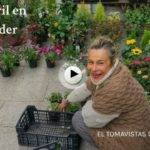 22 de abril en Santander
