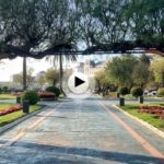 Vive la magia de los Jardines de Piquío