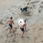 Esas cosas que te encuentras un día de octubre en el Sardinero