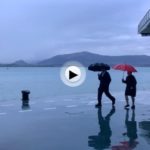 Ayer por la mañana pudimos ver la bahía en ese tono gris, que ya se nos había olvidado