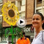 En recuerdo a Manu. Santander ya tiene un girasol que mira al cielo