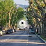 Calles de Santander con árboles como los de antes