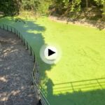 El estanque de Mataleñas sigue manteniendo su tono verdoso